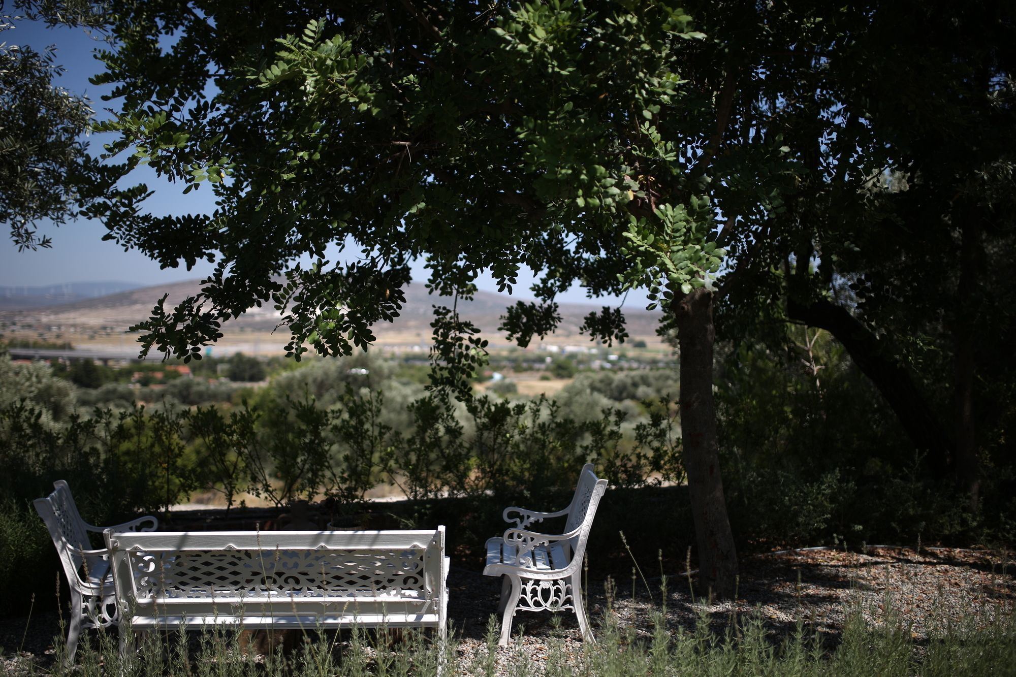Villa Taraca Alacati Romantik Otel (Adults Only) المظهر الخارجي الصورة